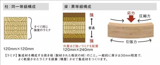 日本领先的钢木组合结构