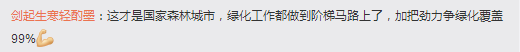 【资讯】深圳人今天上班路上的照片，仿佛进入了原始森林