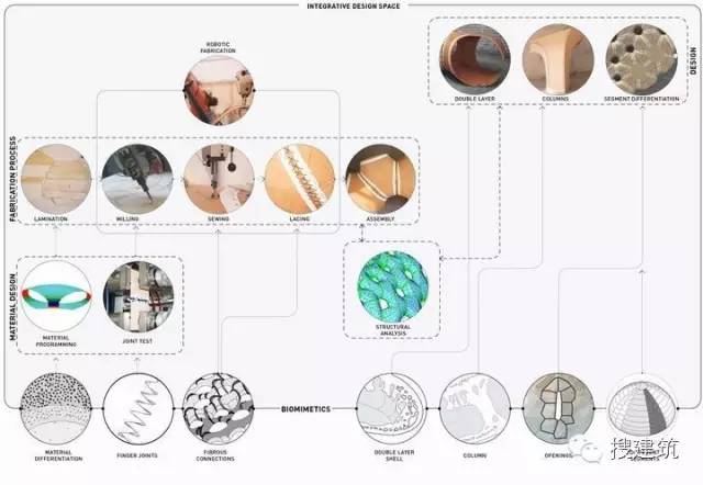 【行业资讯】壳体结构的仿生研究！一个采用木材工业缝纫的建筑