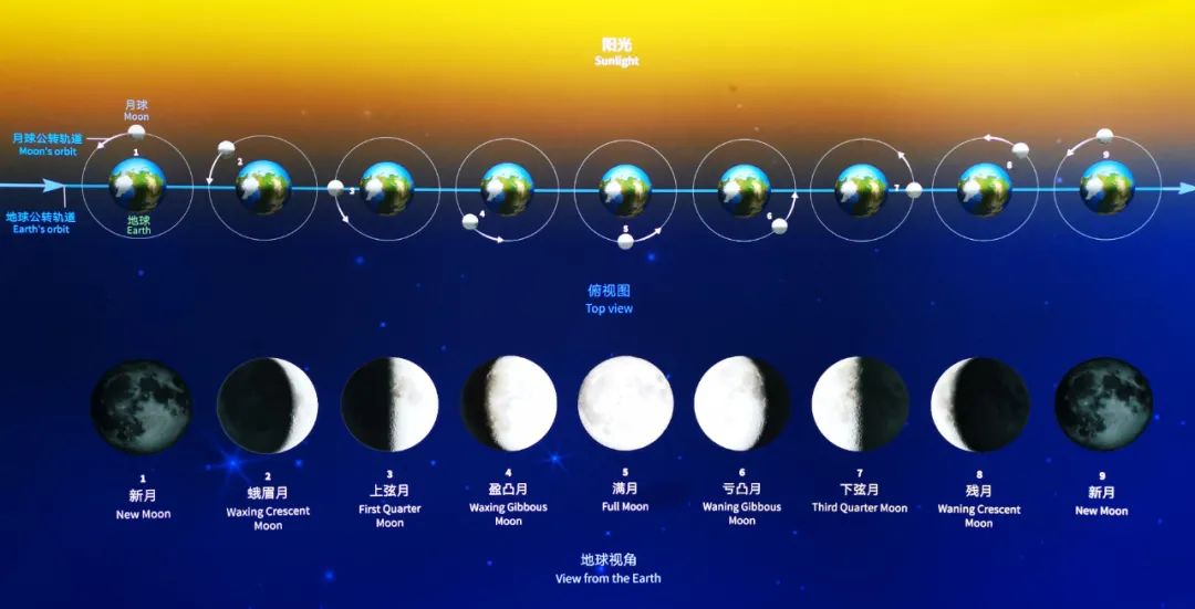 在上海看银河？全球最大、耗资6亿的上海天文馆即将开放