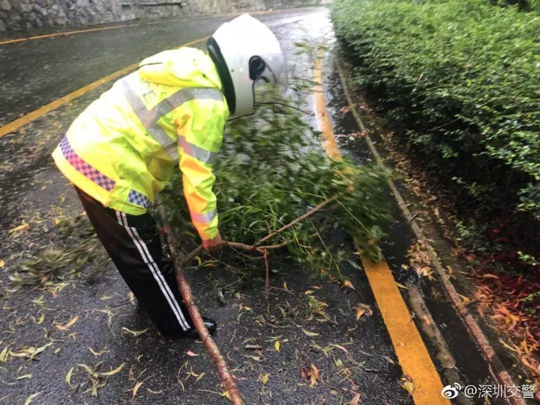 “山竹”肆虐下，广东省内各校情况如何？