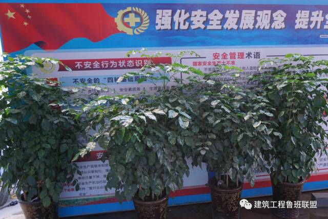 创绿色施工示范工程如何实施“四节一环保”？来现场学习一下！